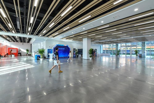 相約湖北 夢幻靈境AI展演中心即將開館，共探網(wǎng)絡(luò)技術(shù)開發(fā)新前沿